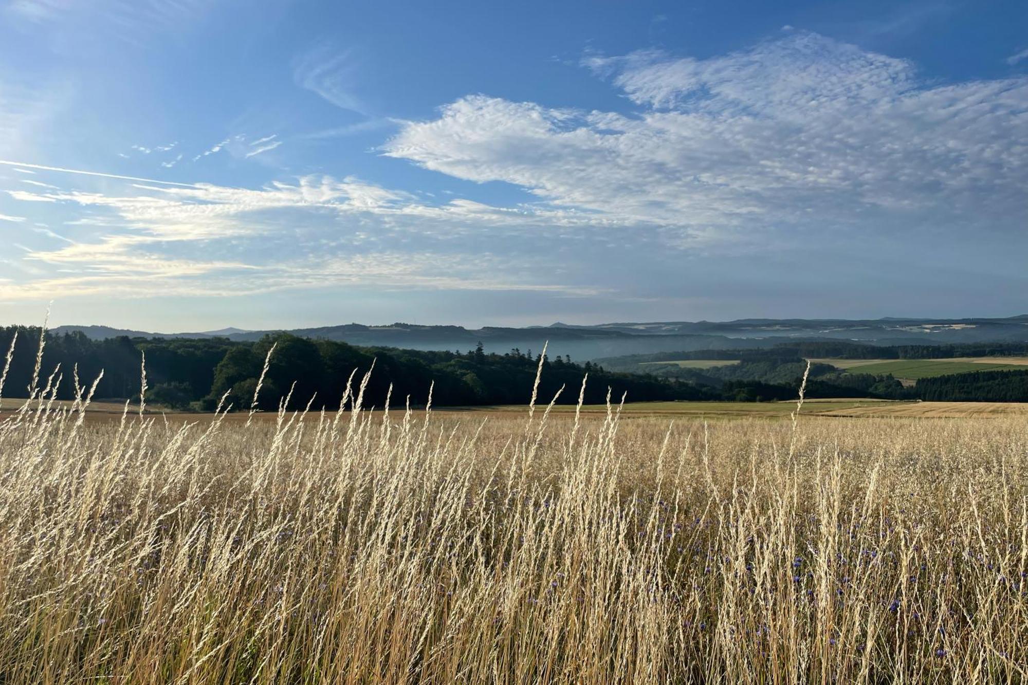 House With A View - Modernes Ferienhaus In Der Eifel Villa Antweiler Exterior photo